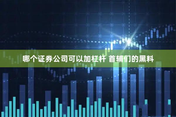 哪个证券公司可以加杠杆 首辅们的黑料